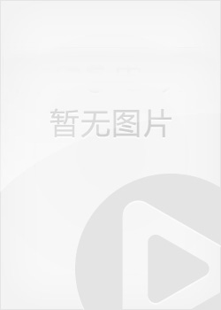 陈赓晋南大捷(2016)全集观看